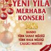 Yeni Yıla Merhaba konseri 