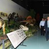 Dinozor sergisi için geri sayım başladı 