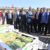 Yenişehir biberi Hollanda yolunda 