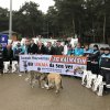 Sokak hayvanlarına Büyükşehir şefkati 