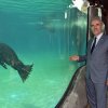 Bursa Zoonun yeni misafirleri fok ve penguen 