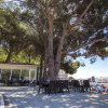 Büyükşehir kalitesiyle 5 yıldızlı tatil 