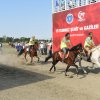Rahvan atları 15 Temmuz anısına yarıştı 