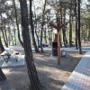 Güzelyalı´ya 40 dönümlük mesire alanı 