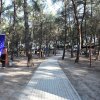 Güzelyalı´ya 40 dönümlük mesire alanı 