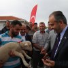 Koyun yetiştiricisine büyük destek 