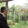 Bursa Zoo'nun yeni konukları gergedanlar 