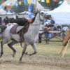 Ata Sporları ile tarihi şölen 