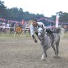 Ata Sporları ile tarihi şölen 
