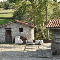 İnsanlık tarihine zamanda yolculuk 