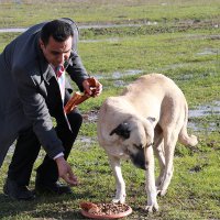 Hayvanları birlikte koruyalım 