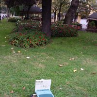 Hayvanları birlikte koruyalım 