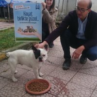 Hayvanları birlikte koruyalım 