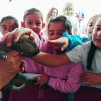 Hayvanları birlikte koruyalım 