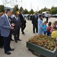 Şehirleşme doğal hayattan uzaklaştırıyor 