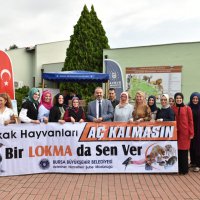 Şehirleşme doğal hayattan uzaklaştırıyor 
