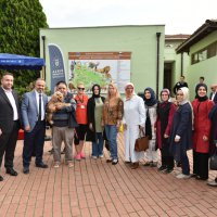 Şehirleşme doğal hayattan uzaklaştırıyor 