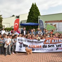 Şehirleşme doğal hayattan uzaklaştırıyor 
