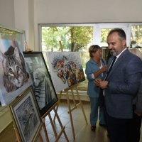 Şehirleşme doğal hayattan uzaklaştırıyor 