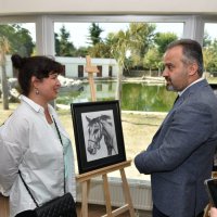 Şehirleşme doğal hayattan uzaklaştırıyor 