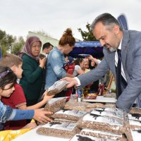 Şehirleşme doğal hayattan uzaklaştırıyor 