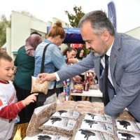 Şehirleşme doğal hayattan uzaklaştırıyor 