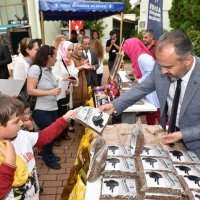 Şehirleşme doğal hayattan uzaklaştırıyor 