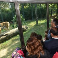 Şehirleşme doğal hayattan uzaklaştırıyor 