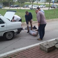 13 ton balığa el kondu 