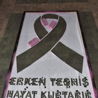 Başkan farkındalık için fırçaladı 