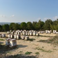 Üreticiye bal gibi eğitim 