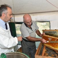 Üreticiye bal gibi eğitim 