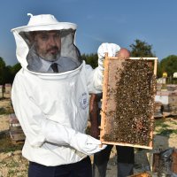 Üreticiye bal gibi eğitim 