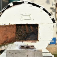 Üreticiye bal gibi eğitim 