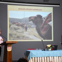 Anadolu’da kalanlar, Anadolu’dan Göçenler 