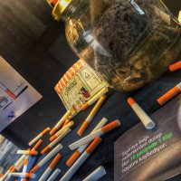 Sağlık Tarihi Müzesi’ne rekor ziyaretçi 