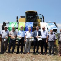 Hasat bitti alım başladı 