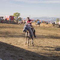 4 nala Cumhuriyet coşkusu 