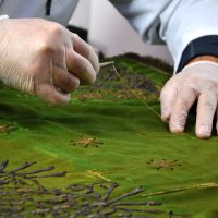 Kutsal emanetler ‘yoğun bakımda’  