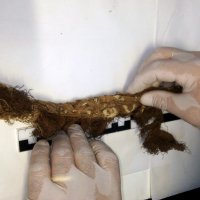 Kutsal emanetler ‘yoğun bakımda’  