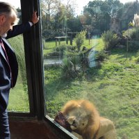 Hayvanat bahçesi 20 yaşında   