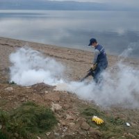 Haşereyle mücadeleye kışın da devam 