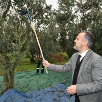 Başkan Aktaş’la hasat zamanı  