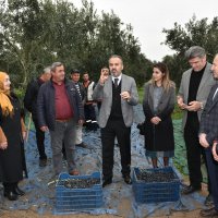 Başkan Aktaş’la hasat zamanı  