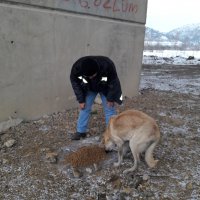 Kış bastırdı can dostlar unutulmadı 