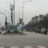 FSM’de çınarlara kış bakımı 
