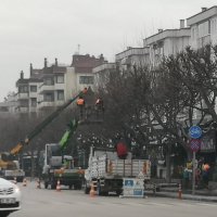 FSM’de çınarlara kış bakımı 