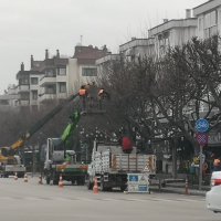 FSM’de çınarlara kış bakımı 