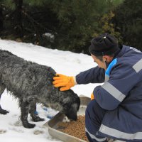 Kar bastırdı can dostlar unutulmadı 
