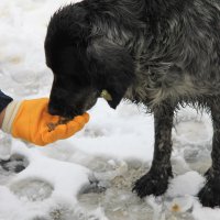 Kar bastırdı can dostlar unutulmadı 